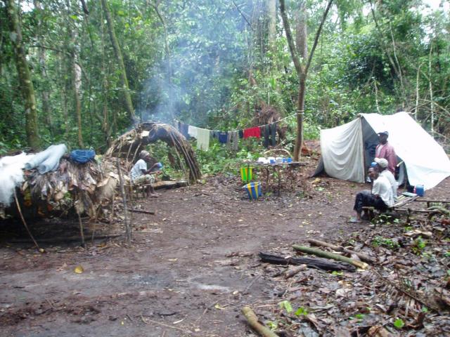 Jackson Camp Ganganya Brousse